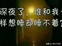 山东互迪特文化科技有限公司