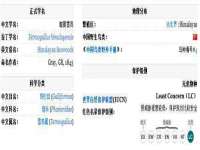 山东互迪特文化科技有限公司