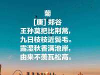 山东互迪特文化科技有限公司
