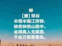 山东互迪特文化科技有限公司