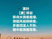 山东互迪特文化科技有限公司