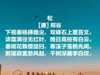 山东互迪特文化科技有限公司