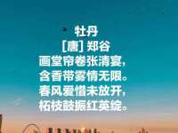 山东互迪特文化科技有限公司