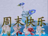 山东互迪特文化科技有限公司