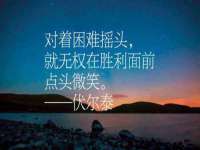 山东互迪特文化科技有限公司
