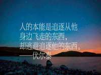山东互迪特文化科技有限公司