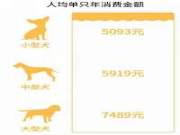 山东互迪特文化科技有限公司