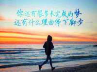 山东互迪特文化科技有限公司