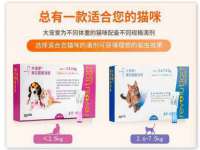 山东互迪特文化科技有限公司