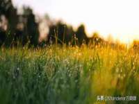 山东互迪特文化科技有限公司