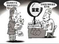 山东互迪特文化科技有限公司