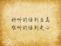 山东互迪特文化科技有限公司