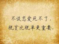 山东互迪特文化科技有限公司