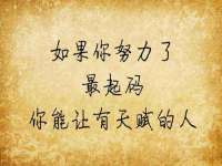 山东互迪特文化科技有限公司