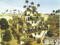 山东互迪特文化科技有限公司