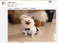 山东互迪特文化科技有限公司