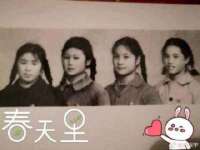 山东互迪特文化科技有限公司