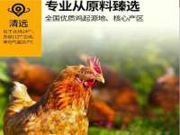 山东互迪特文化科技有限公司