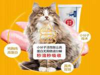 山东互迪特文化科技有限公司