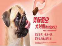山东互迪特文化科技有限公司