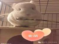 山东互迪特文化科技有限公司