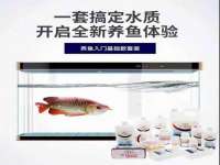 山东互迪特文化科技有限公司