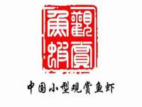 山东互迪特文化科技有限公司
