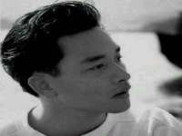 山东互迪特文化科技有限公司