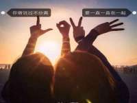 山东互迪特文化科技有限公司
