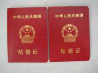 山东互迪特文化科技有限公司