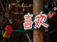 山东互迪特文化科技有限公司