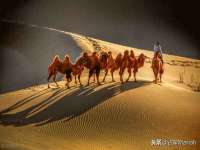 山东互迪特文化科技有限公司