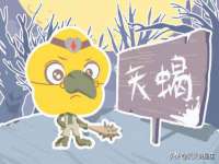 山东互迪特文化科技有限公司