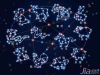 山东互迪特文化科技有限公司