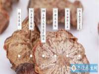 山东互迪特文化科技有限公司