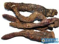 山东互迪特文化科技有限公司
