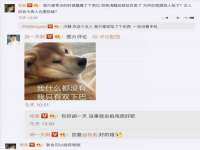 山东互迪特文化科技有限公司