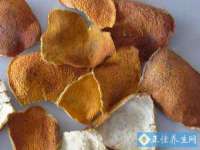 山东互迪特文化科技有限公司