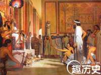 山东互迪特文化科技有限公司