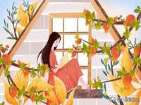 山东互迪特文化科技有限公司
