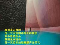 山东互迪特文化科技有限公司