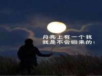 山东互迪特文化科技有限公司