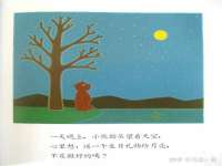 山东互迪特文化科技有限公司