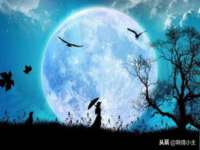 山东互迪特文化科技有限公司