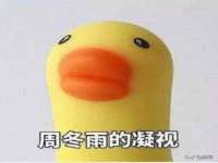 山东互迪特文化科技有限公司