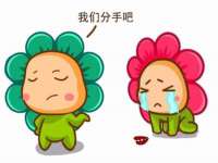 山东互迪特文化科技有限公司