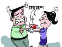 山东互迪特文化科技有限公司