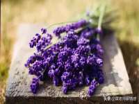 山东互迪特文化科技有限公司