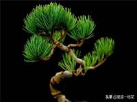 山东互迪特文化科技有限公司