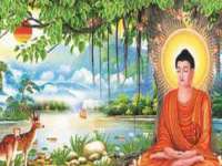 山东互迪特文化科技有限公司